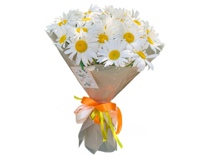 Ромашковое лето